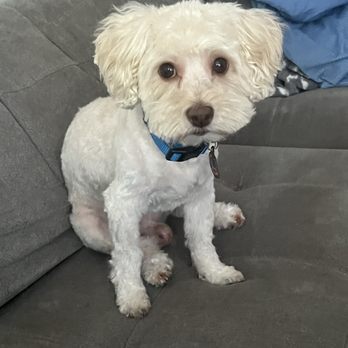 Barks and Rec - Pet Groomers Near Me - Fresno, California
