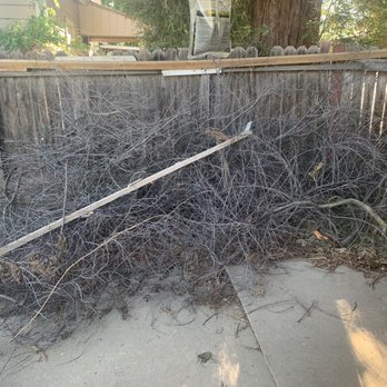 916 Junk Removal - Before (Backyard) - Junk Removal & Hauling Near Me 916 Junk Removal - Before (Backyard) - Junk Removal & Hauling Near Me