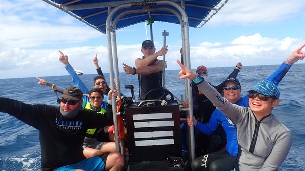 Dive Ninja Expeditions by null