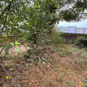 Guzman Landscaping - Before - Weeds & Vegetation - Landscaping Near Me - San Pablo, California