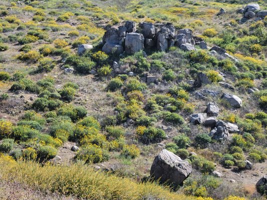 Sycamore Canyon Wilderness Park by null
