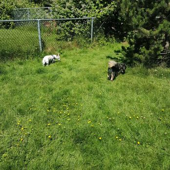 1. Clayton Off Leash Dog Park