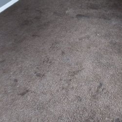 Aiken Carpet Cleaning Service and Duct Cleaning - Oil was in the carpet, i use our deep srub process and it worked