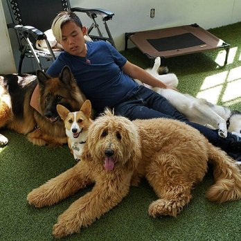 Paws Pet N' Play - Staff and cuddles! - Pet Boarding Near Me - Daly City, California Paws Pet N' Play - Staff and cuddles! - Pet Boarding Near Me - Daly City, California