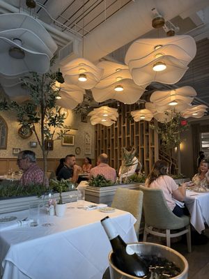 Succulent Fine Dining by null