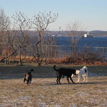 Africville Park - Dog Parks Near Me - Halifax, Nova Scotia Africville Park - Dog Parks Near Me - Halifax, Nova Scotia