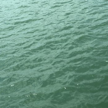 Calypso Queen Tropical Cruise - Clear water in Clearwater Florida - Tours Near Me - Clearwater, Florida Calypso Queen Tropical Cruise - Clear water in Clearwater Florida - Tours Near Me - Clearwater, Florida