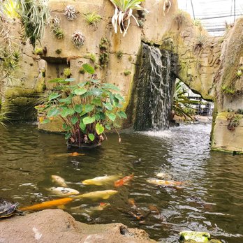 Rainforest Flora - Nurseries & Gardening Near Me - Torrance, California Rainforest Flora - Nurseries & Gardening Near Me - Torrance, California