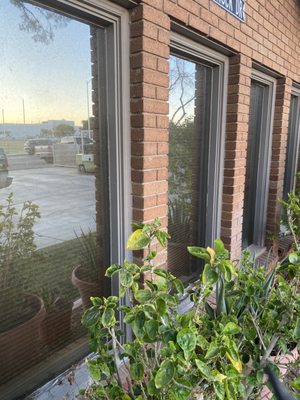 Window & Screen Cleaning - Check out some of our past work! We offer window cleaning, screen cleaning, and solar panel cleaning Window & Screen Cleaning - Check out some of our past work! We offer window cleaning, screen cleaning, and solar panel cleaning