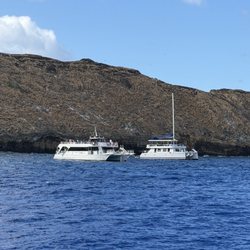 Boss Frog's Snorkel, Bike, & Beach Rentals - Ka'anapali - Boss Frog's booked our Snorkeling  Trip with Sail Maui at Ma'alea Bay