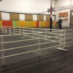 Dog Training Club of St Petersburg