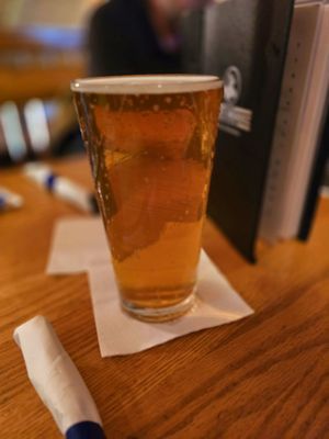 Blue Moose Bar & Grill by null
