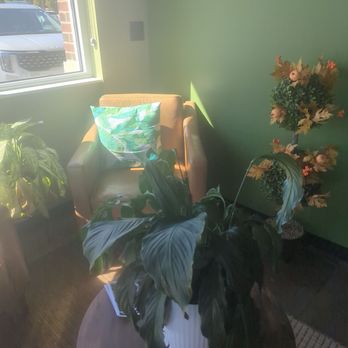 Fresh Monkee- Kernersville - Juice Bars & Smoothies Near Me - Kernersville, North Carolina Fresh Monkee- Kernersville - Juice Bars & Smoothies Near Me - Kernersville, North Carolina