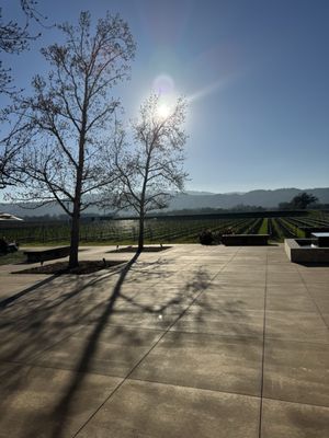 Silver Oak Napa Valley by null