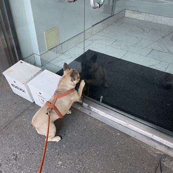 Sutton Animal Hospital - Veterinarians Near Me - New York, New York Sutton Animal Hospital - Veterinarians Near Me - New York, New York