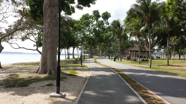 Changi Beach Park by null