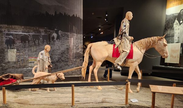 Buffalo Bill Center of the West by null