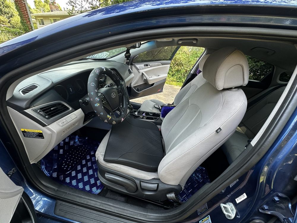 New Look Auto Detailing