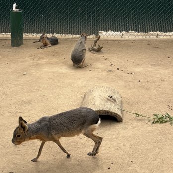 OC Zoo Irvine Regional Park - Parks Near Me - Orange, California OC Zoo Irvine Regional Park - Parks Near Me - Orange, California