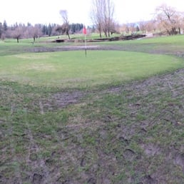 Temporary green was a mud pile!