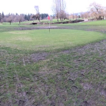Belmont Golf Course - Temporary green was a mud pile! - Golf Near Me - Langley, British Columbia
