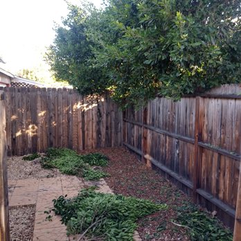 3D Tree Services, Inc. - They left cut branches all over ground - Tree Services Near Me