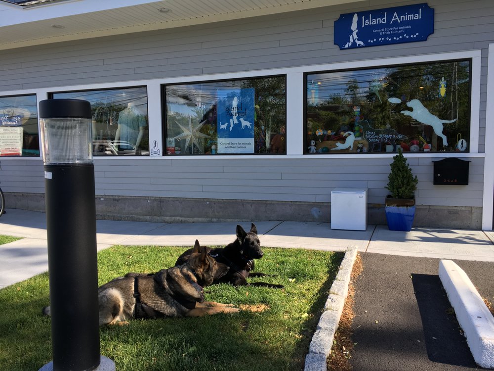 ISLAND ANIMAL Updated April 2024 35 Narragansett Ave, Jamestown