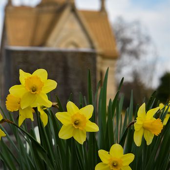 Historic Oakland Cemetery - Daffodil Days at Oakland Cemetery - Landmarks & Historical Buildings Near Me - Atlanta, Georgia