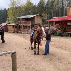 Old Stage Riding Stables - Staff assisting with getting horse (named Gizzmo, very friendly)