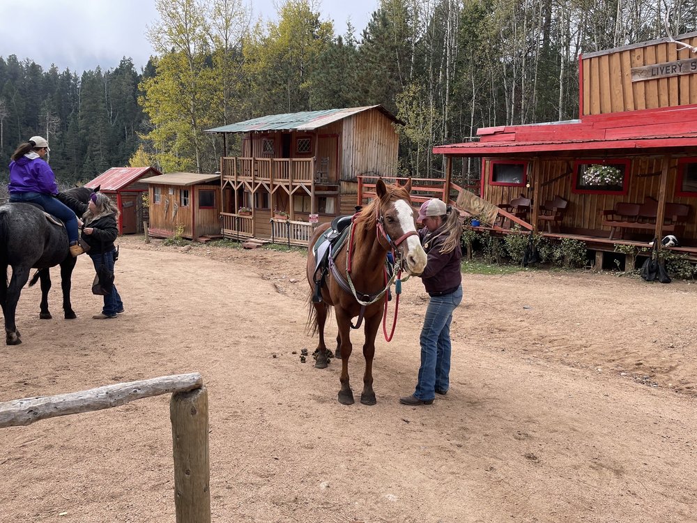 Old Stage Riding Stables - equestrian in Colorado Springs, CO