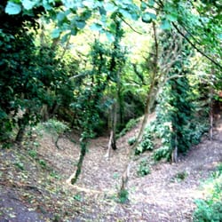 Bramber Castle - Bramber castle - dry moat