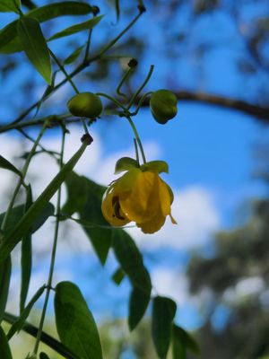 Sawgrass Lake Park by null