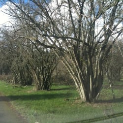 Filbert Acres