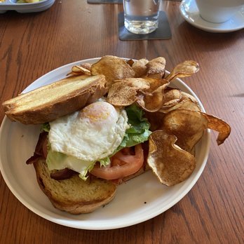 Daily Gather - BLT with avocado and egg - Breakfast & Brunch Near Me - Houston, Texas