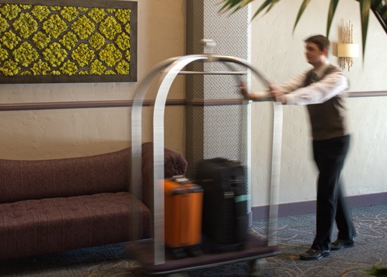 The Sofia Hotel by null