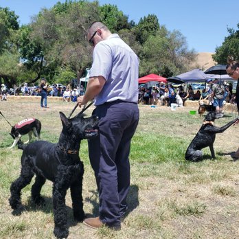 Niles Dog Show - Handsomest male competition - Arts & Entertainment Near Me - Fremont, California