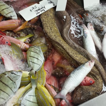The Marketplace - Manini, Menpachi, Mullet, Ta'ape, and...who eats Morey Eel? ??? - Farmers Market Near Me - Honolulu, Hawaii The Marketplace - Manini, Menpachi, Mullet, Ta'ape, and...who eats Morey Eel? ??? - Farmers Market Near Me - Honolulu, Hawaii