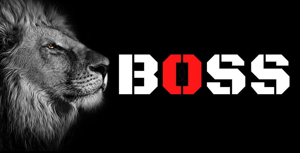 BOSS COMPUTER REPAIR Updated July 2024 140 First Avenue, Moncton, New Brunswick IT