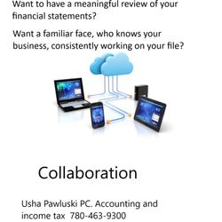 Usha Pawluski Professional - Meet with the accountant that actually works on your file without having to pay enormous fees.