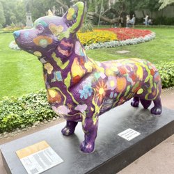 Whitehall Gardens - The Queen's corgi in the garden