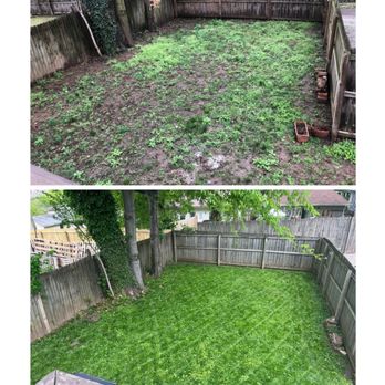 Dickens Turf And Landscape Supply - Top picture was our yard in March 2021, bottom is April 2022. - Nurseries & Gardening Near Me - Nashville, Tennessee Dickens Turf And Landscape Supply - Top picture was our yard in March 2021, bottom is April 2022. - Nurseries & Gardening Near Me - Nashville, Tennessee