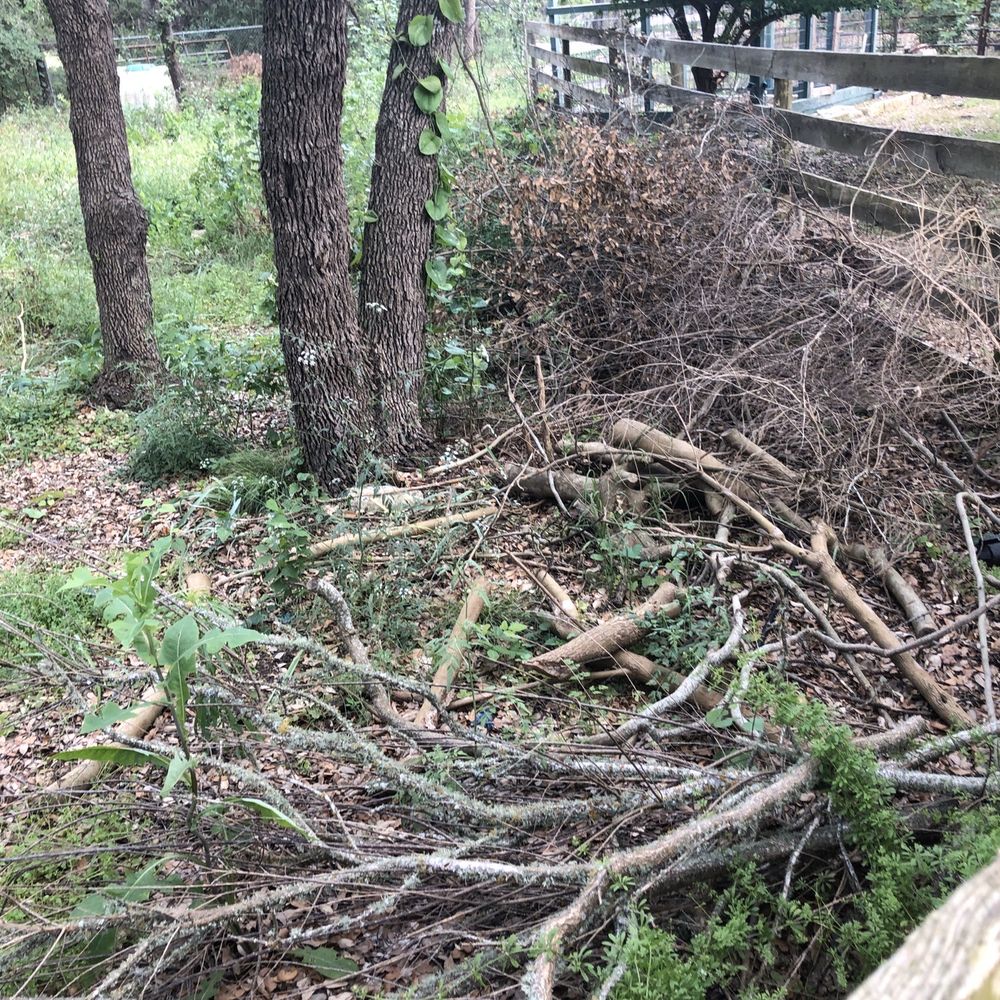 Simple Leaf Tree Care - Branches left on property - Tree Services Near Me - Wimberley, Texas Simple Leaf Tree Care - Branches left on property - Tree Services Near Me - Wimberley, Texas