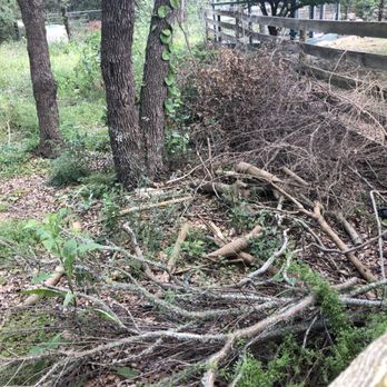 Simple Leaf Tree Care - Branches left on property - Tree Services Near Me - Wimberley, Texas Simple Leaf Tree Care - Branches left on property - Tree Services Near Me - Wimberley, Texas