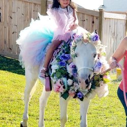 Fairy Tale Unicorn