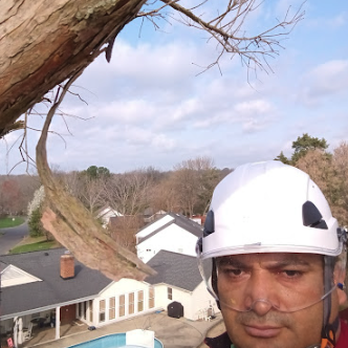 Paco Tree Service - Tree Services Near Me - Charlotte, North Carolina Paco Tree Service - Tree Services Near Me - Charlotte, North Carolina
