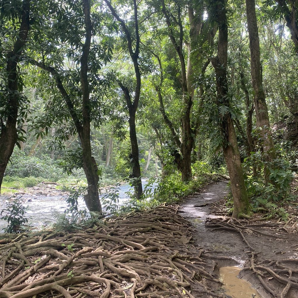 Kayak Wailua Tours - Along the hike - Tours Near Me - Kapaa, Hawaii
