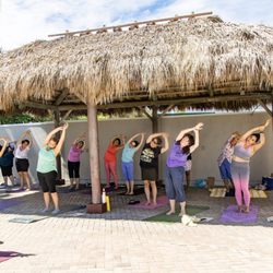 Tracy's Total Wellness