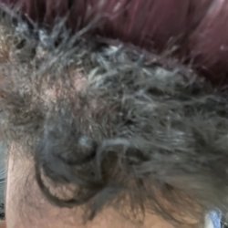 Elegant Beauty Supplies - Hair extension 2 days after done