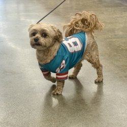 Dollar Tree - April 24, 2026 | Friday | Inside! | Cutest dog wearing a jersey inside! Haha!