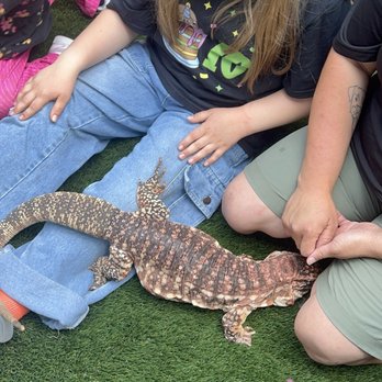 Reptacular Animals - Party & Event Planning Near Me - Sun Valley, California Reptacular Animals - Party & Event Planning Near Me - Sun Valley, California
